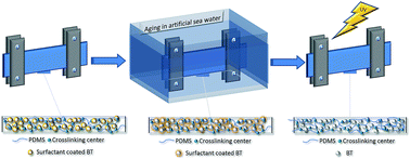 Graphical abstract: Aging behavior of the silicone dielectric elastomers in a simulated marine environment