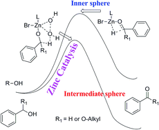 Graphical abstract: Theoretical mechanistic investigation of zinc(ii) catalyzed oxidation of alcohols to aldehydes and esters