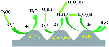 Graphical abstract: Role of iron in the reduction of H2O2 intermediate during the oxygen reduction reaction on iron-containing polyimide-based electrocatalysts
