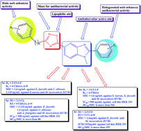 Graphical abstract: Novel benzimidazole–oxadiazole hybrid molecules as promising antimicrobial agents
