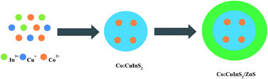 Graphical abstract: Synthesis of nontoxic Co:CuInS2@ZnS nanocrystals with both fluorescence and room temperature ferromagnetism