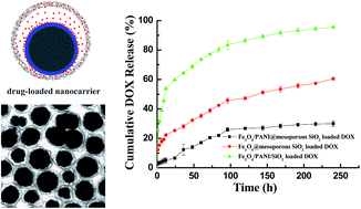 Graphical abstract: Magnetic conducting polymer/mesoporous SiO2 yolk/shell nanomaterials: multifunctional nanocarriers for controlled release of doxorubicin