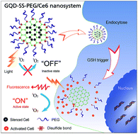 Graphical abstract: A graphene quantum dot (GQD) nanosystem with redox-triggered cleavable PEG shell facilitating selective activation of the photosensitiser for photodynamic therapy