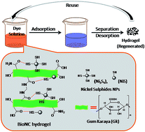 Graphical abstract: Efficient removal of rhodamine 6G dye from aqueous solution using nickel sulphide incorporated polyacrylamide grafted gum karaya bionanocomposite hydrogel