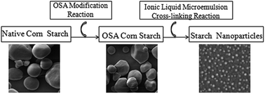 Graphical abstract: Starch nanoparticles prepared in a two ionic liquid based microemulsion system and their drug loading and release properties