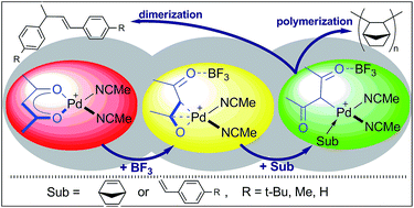 Graphical abstract: [Pd(acac)(MeCN)2]BF4: air-tolerant, activator-free catalyst for alkene dimerization and polymerization