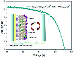 Graphical abstract: Improving the photovoltaic performance of dye sensitized solar cells based on a hierarchical structure with up/down converters