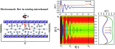 Graphical abstract: Analytical solution for transient electroosmotic flow in a rotating microchannel