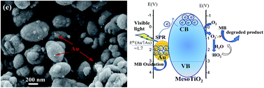 Graphical abstract: Gold nanoparticle incorporation into nanoporous anatase TiO2 mesocrystal using a simple deposition–precipitation method for photocatalytic applications