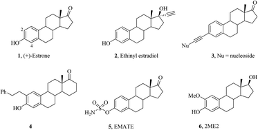 Graphical abstract: Synthesis and phosphatase inhibitory activity of 3-alkynylestrones and their derivatives