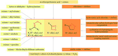 Graphical abstract: Review of the synthesis of acyclic and cyclic oxime ethers