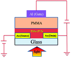 Graphical abstract: High performance solution-processed infrared photodetector based on PbSe quantum dots doped with low carrier mobility polymer poly(N-vinylcarbazole)