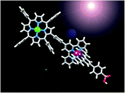 Graphical abstract: Improved light absorbance does not lead to better DSC performance: studies on a ruthenium porphyrin–terpyridine conjugate