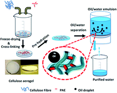 Graphical abstract: Cellulose nanofibre aerogel filter with tuneable pore structure for oil/water separation and recovery
