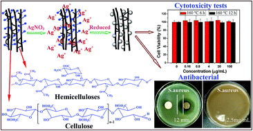 Graphical abstract: Green synthesis of silver nanoparticles with enhanced antibacterial activity using holocellulose as a substrate and reducing agent