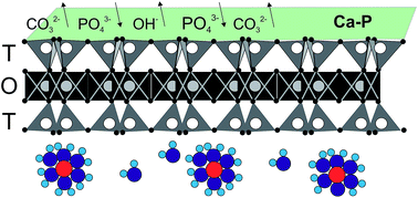 Graphical abstract: Sorption mechanism(s) of orthophosphate onto Ca(OH)2 pretreated bentonite