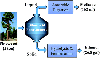 Graphical abstract: Integrated ethanol and biogas production from pinewood