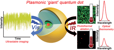 Graphical abstract: Plasmonic giant quantum dots: hybrid nanostructures for truly simultaneous optical imaging, photothermal effect and thermometry