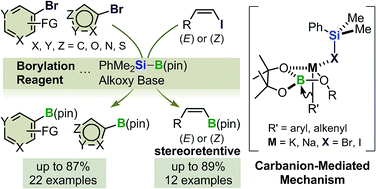 Graphical abstract: Boryl substitution of functionalized aryl-, heteroaryl- and alkenyl halides with silylborane and an alkoxy base: expanded scope and mechanistic studies