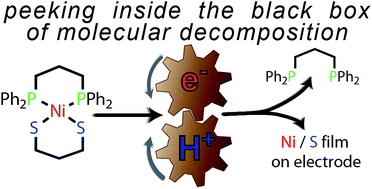 Graphical abstract: Electrode initiated proton-coupled electron transfer to promote degradation of a nickel(ii) coordination complex