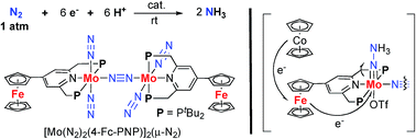 Graphical abstract: Nitrogen fixation catalyzed by ferrocene-substituted dinitrogen-bridged dimolybdenum–dinitrogen complexes: unique behavior of ferrocene moiety as redox active site