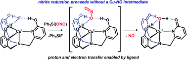 Graphical abstract: Nitrite reduction by copper through ligand-mediated proton and electron transfer