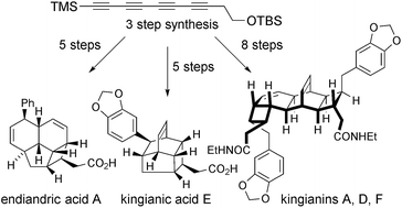 Graphical abstract: Unified total synthesis of the natural products endiandric acid A, kingianic acid E, and kingianins A, D, and F