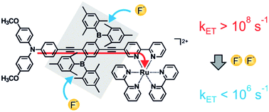 Graphical abstract: Fluoride binding to an organoboron wire controls photoinduced electron transfer