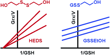 Graphical abstract: Systematic re-evaluation of the bis(2-hydroxyethyl)disulfide (HEDS) assay reveals an alternative mechanism and activity of glutaredoxins
