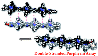 Graphical abstract: Self-complementary double-stranded porphyrin arrays assembled from an alternating pyridyl–porphyrin sequence