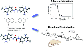 Graphical abstract: Small molecule antagonists of cell-surface heparan sulfate and heparin–protein interactions