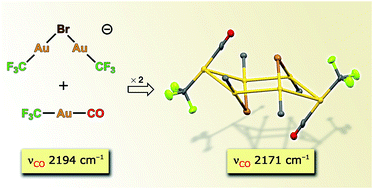 Graphical abstract: A hexanuclear gold carbonyl cluster