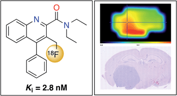 Graphical abstract: A novel 18F-labelled high affinity agent for PET imaging of the translocator protein