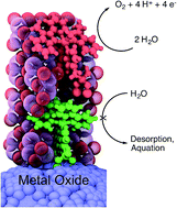 Graphical abstract: Synthesis, characterization, and water oxidation by a molecular chromophore-catalyst assembly prepared by atomic layer deposition. The “mummy” strategy