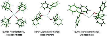 Graphical abstract: Coordination diversity in hydrogen-bonded homoleptic fluoride–alcohol complexes modulates reactivity