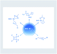 Graphical abstract: A T-shaped Ni[κ2-(CF2)4–] NHC complex: unusual Csp3–F and M–CF bond functionalization reactions