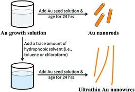 Graphical abstract: Unconventional seed-mediated growth of ultrathin Au nanowires in aqueous solution