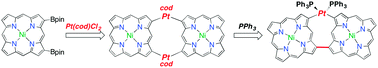 Graphical abstract: Singly and doubly β-to-β platinum-bridged porphyrin dimers and their reductive eliminations
