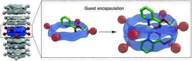 Graphical abstract: Self-assembling α,γ-cyclic peptides that generate cavities with tunable properties