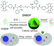 Graphical abstract: A dual-responsive nanocapsule via disulfide-induced self-assembly for therapeutic agent delivery
