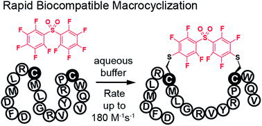 Graphical abstract: Rapid biocompatible macrocyclization of peptides with decafluoro-diphenylsulfone