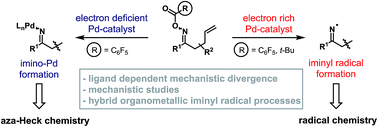Graphical abstract: Dichotomous mechanistic behavior in Narasaka–Heck cyclizations: electron rich Pd-catalysts generate iminyl radicals