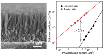 Graphical abstract: Understanding and removing surface states limiting charge transport in TiO2 nanowire arrays for enhanced optoelectronic device performance