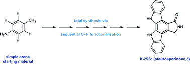 Graphical abstract: The total synthesis of K-252c (staurosporinone) via a sequential C–H functionalisation strategy