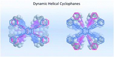 Graphical abstract: Dynamic helical cyclophanes with two quadruply-bridged planes arranged in an “obverse and/or reverse” relation