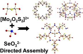 Graphical abstract: Assembly of inorganic [Mo2S2O2]2+ panels connected by selenite anions to nanoscale chalcogenide–polyoxometalate clusters