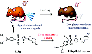 Graphical abstract: Real time monitoring of aminothiol level in blood using a near-infrared dye assisted deep tissue fluorescence and photoacoustic bimodal imaging