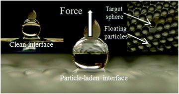 Graphical abstract: Measured capillary forces on spheres at particle-laden interfaces