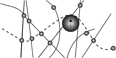 Graphical abstract: Bond breaking dynamics in semiflexible networks under load