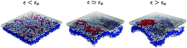 Graphical abstract: Formation of adhesion domains in stressed and confined membranes